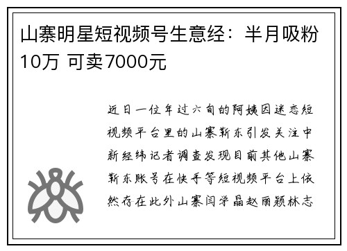 山寨明星短视频号生意经：半月吸粉10万 可卖7000元
